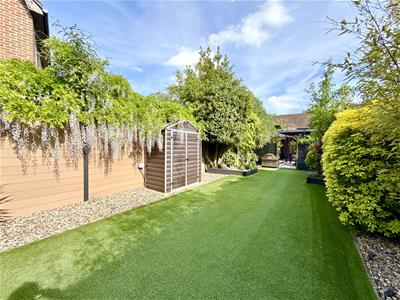 Picture 35